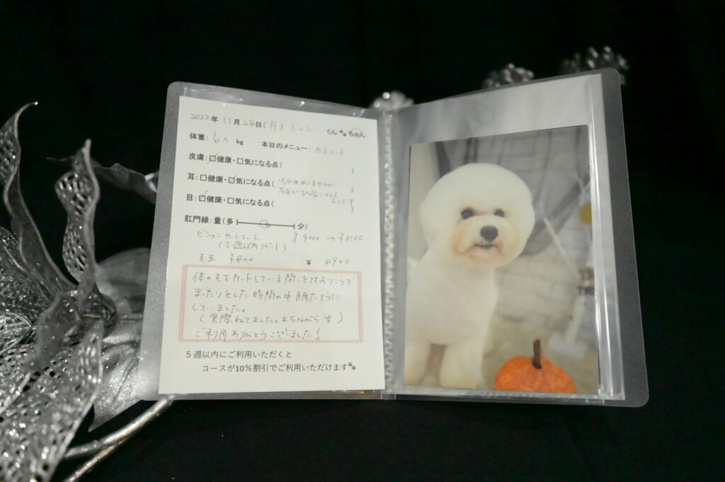 トリミングの思い出を残すミニアルバム